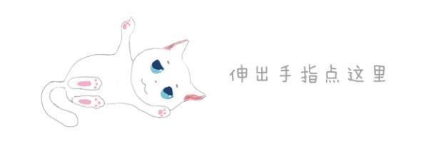 主人收养奶猫，竟令浪子金毛开始整日家里蹲，从此猫狗双全美滋滋