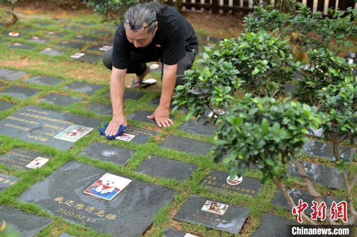 广西南宁宠物殡葬从业人员：小生命也需要极大的尊重